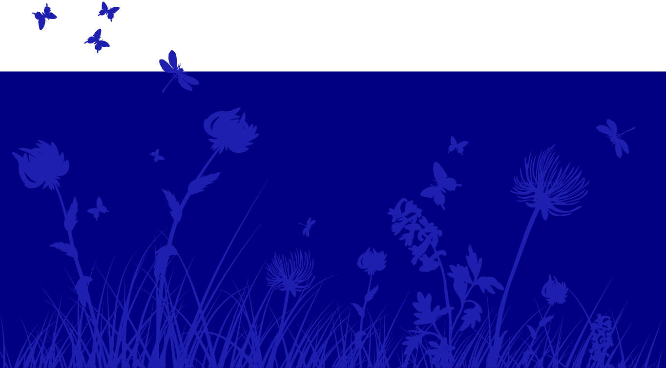 Blue Decorative Background